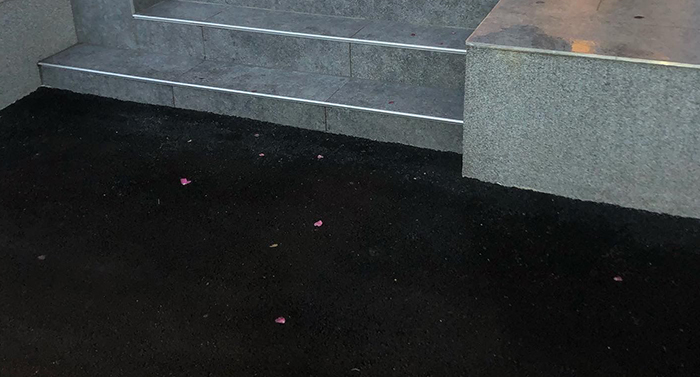 MG Vasic Gradbeništvo in storitve d.o.o. - Urejanje okolice